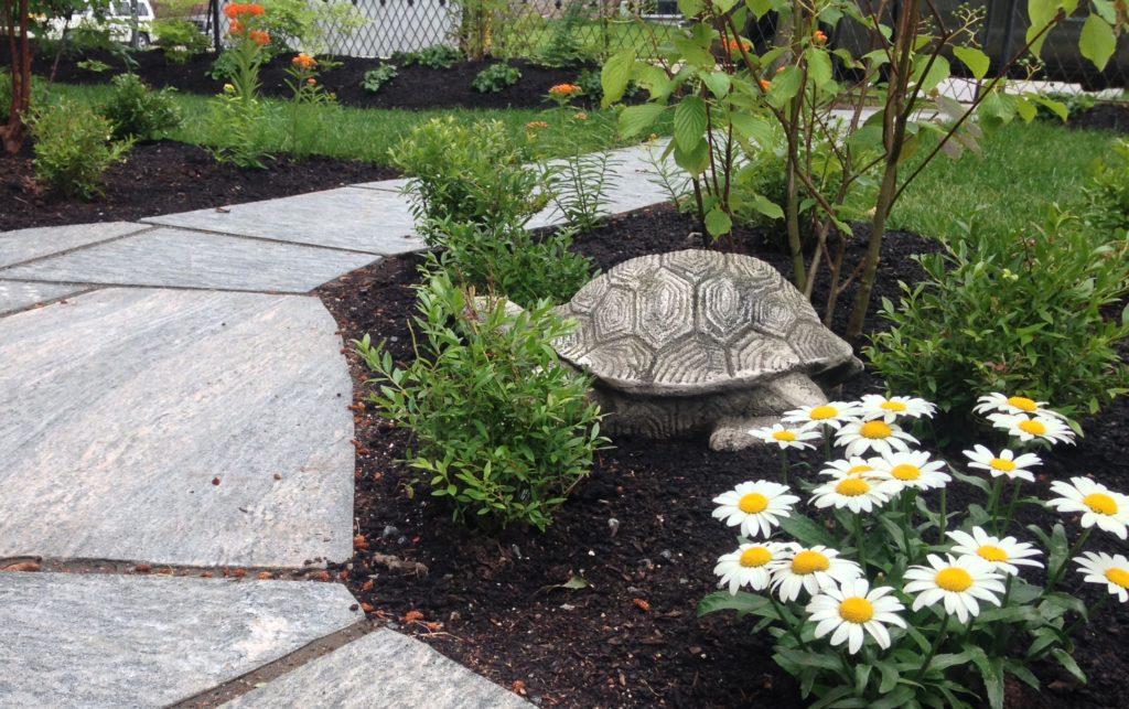 Garden Art- Turtle with Stone Path